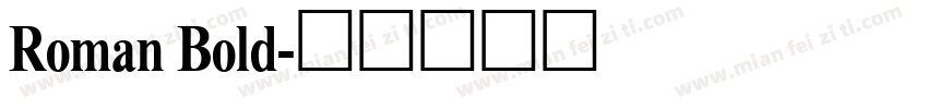 Roman Bold字体转换
